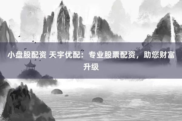 小盘股配资 天宇优配：专业股票配资，助您财富升级