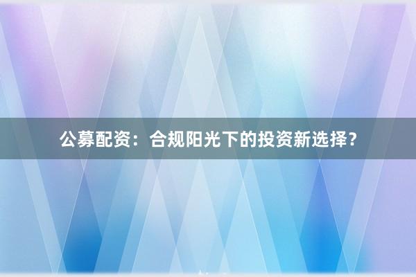 公募配资：合规阳光下的投资新选择？