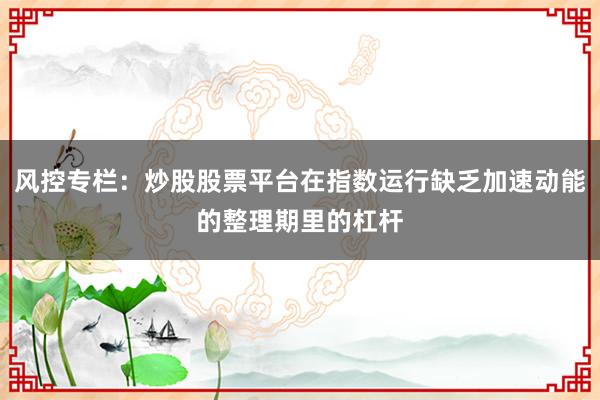 风控专栏：炒股股票平台在指数运行缺乏加速动能的整理期里的杠杆