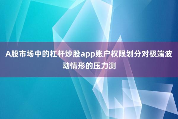 A股市场中的杠杆炒股app账户权限划分对极端波动情形的压力测