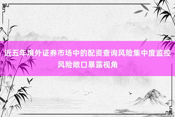 近五年境外证券市场中的配资查询风险集中度监控风险敞口暴露视角
