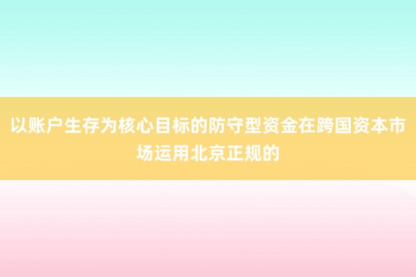 以账户生存为核心目标的防守型资金在跨国资本市场运用北京正规的