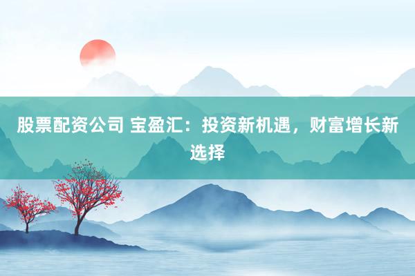 股票配资公司 宝盈汇：投资新机遇，财富增长新选择
